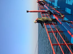 Competities HSV Alfheim